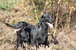 Moeder en dochter, eind oktober 2011